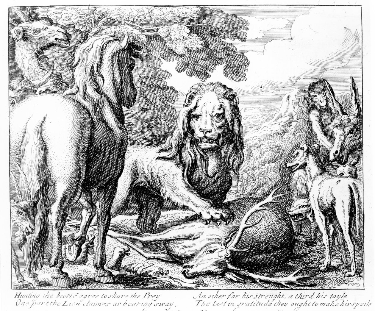 Leijonanosa, kuvitus teokselle Aesop