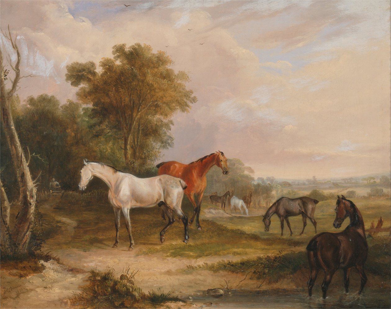 Hevoset laiduntavat- harmaa ori laiduntamassa tammoilla niityllä tekijältä Francis Calcraft Turner