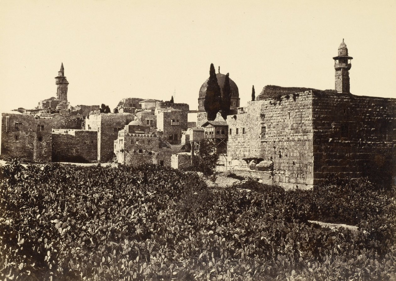 Jätepaikat Jerusalemissa Siionin vuoren ja Pyhän temppelin välissä tekijältä Francis Frith