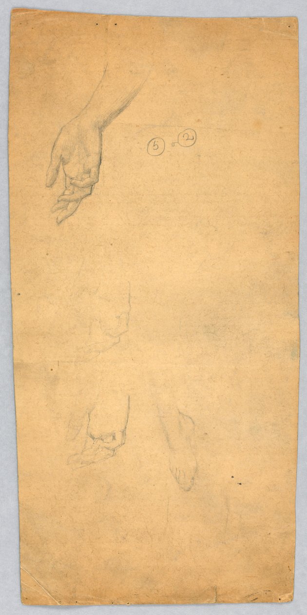 Käsien ja jalan tutkimukset tekijältä Francis Augustus Lathrop