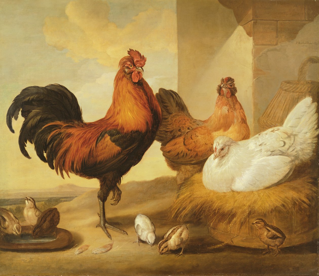 Kotikukko, kanat ja poikaset, 1655 tekijältä Francis Barlow