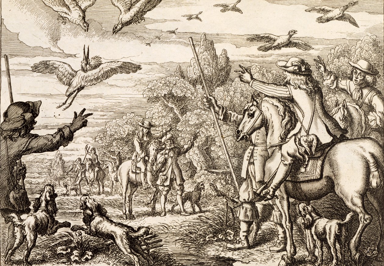 Heron Hawking, kaiverrus Wenceslaus Hollar, 1671 tekijältä Francis Barlow