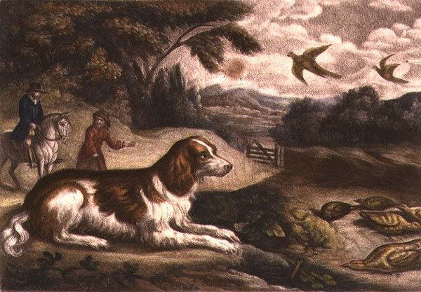 John Smithin metsästyskohtaus (tulostus) tekijältä Francis Barlow