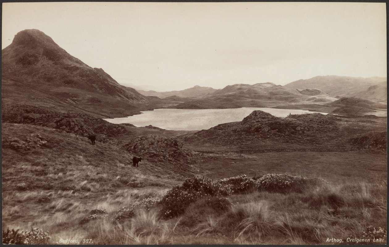 Arthog, Creigene-järvi tekijältä Francis Bedford