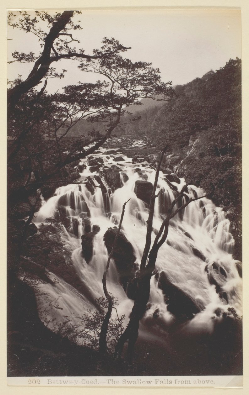 Bettw-s-y Coed, Swallow Falls from Above tekijältä Francis Bedford
