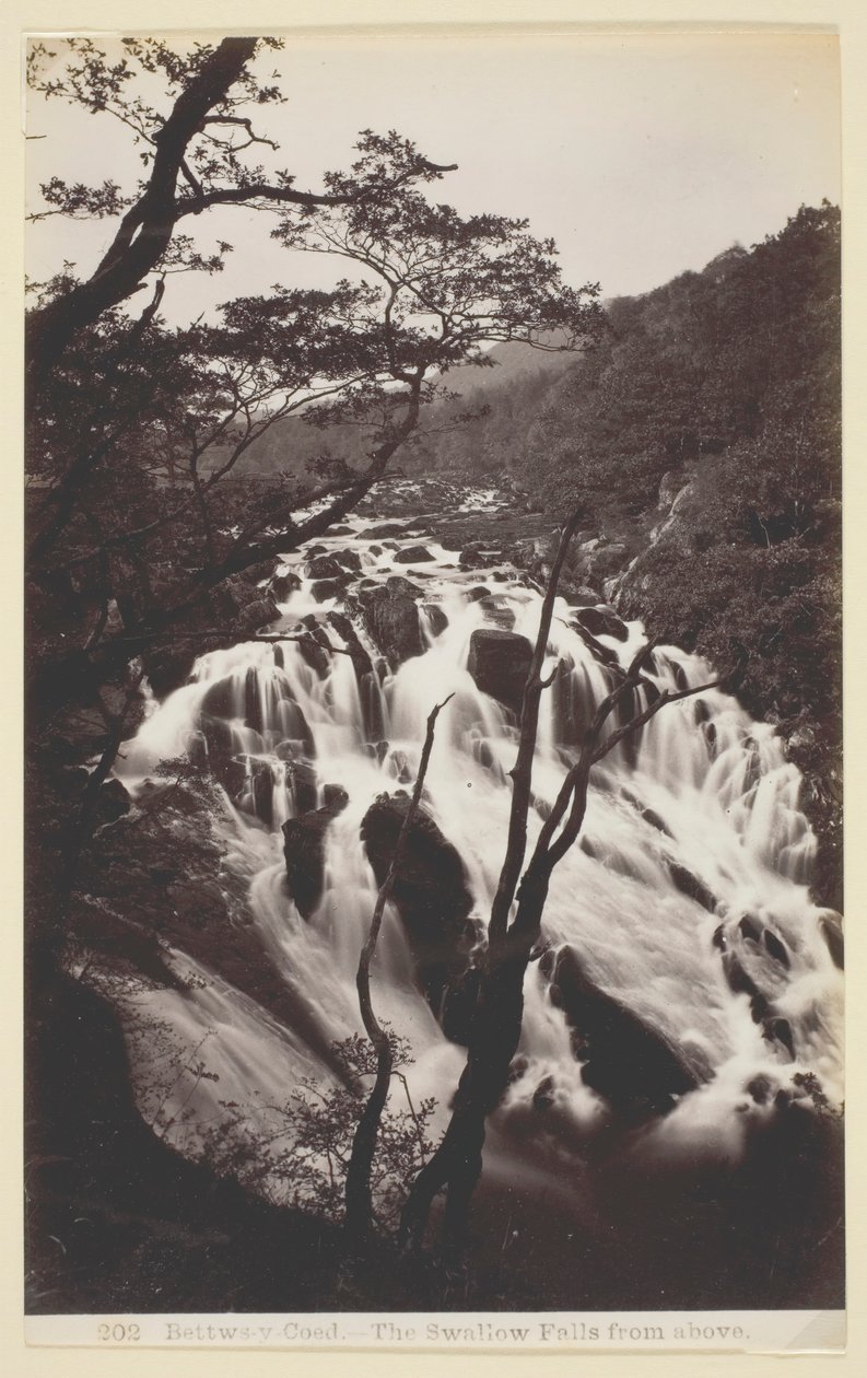 Bettws-y Coed, Swallow Falls from Above, 186094. tekijältä Francis Bedford