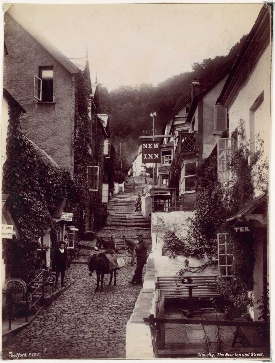 Clovelly, The New Inn ja Street tekijältä Francis Bedford