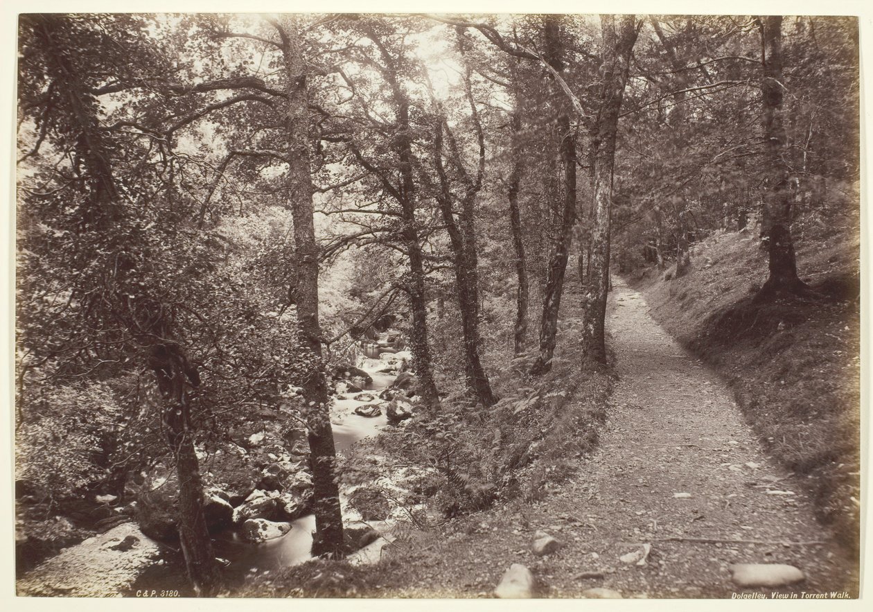 Dolgelley, View in Torrent Walk, 186094. tekijältä Francis Bedford