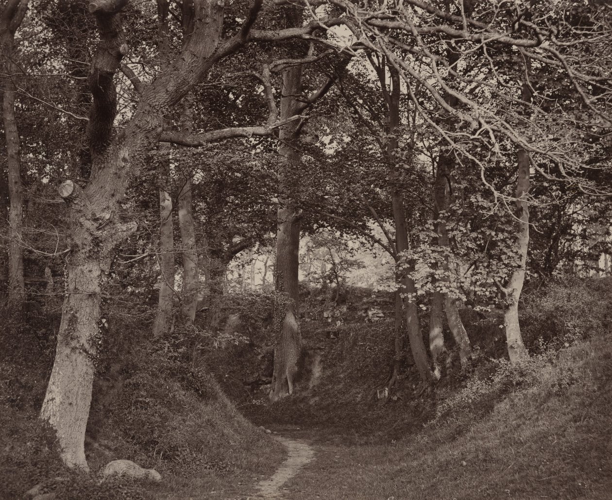Glen Kenilworth,c. 1868 (kuva) tekijältä Francis Bedford