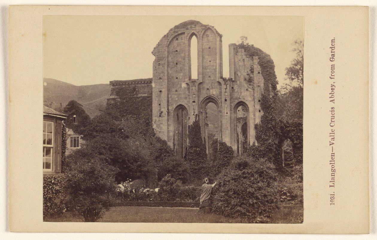 Llangollen - Valle Crucis Abbey puutarhasta nähtynä tekijältä Francis Bedford