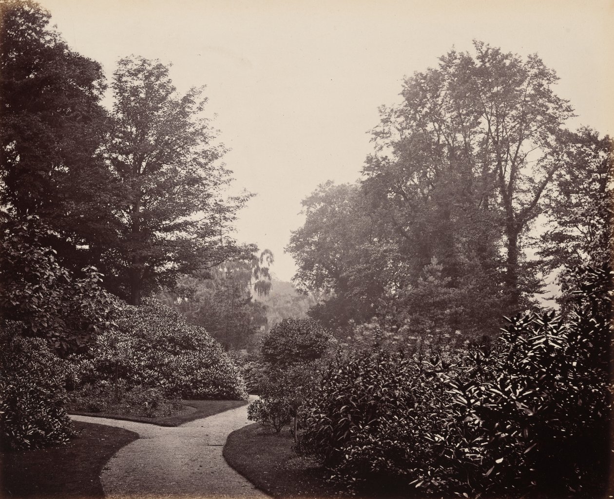 Polku Alexandra Parkissa,c. 1863 (kuva) tekijältä Francis Bedford