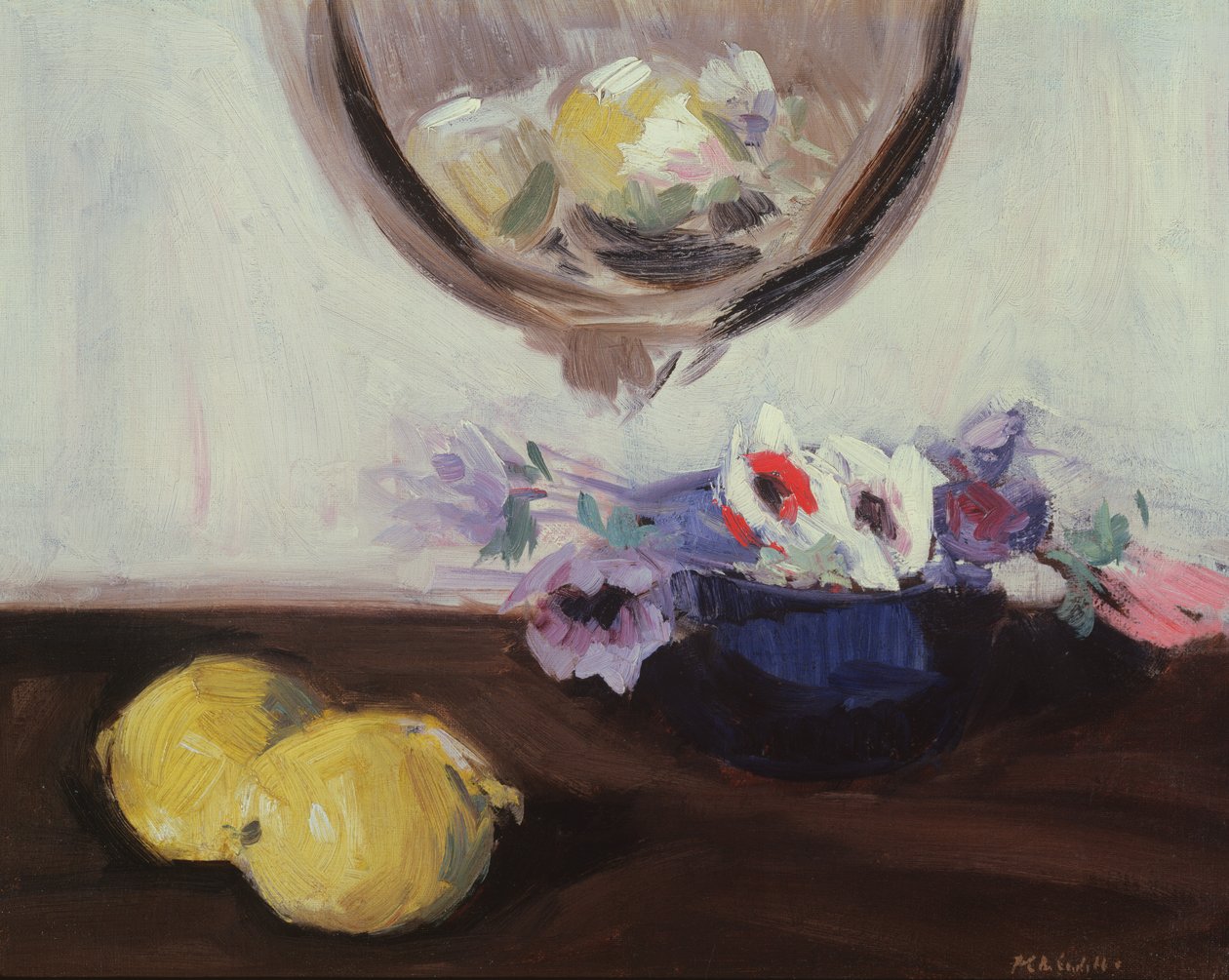 Anemones ja Sitruunat tekijältä Francis Campbell Boileau Cadell