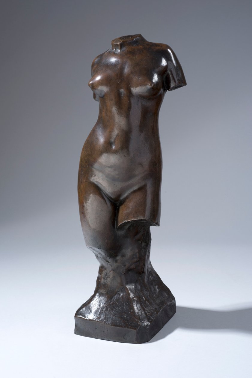 Torso tekijältä Francis Derwent Wood