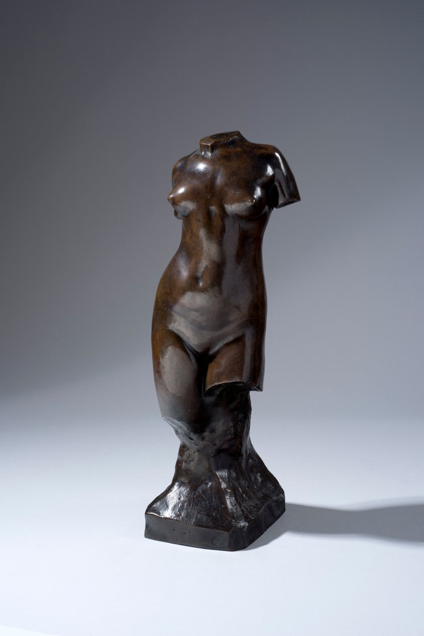 Torso tekijältä Francis Derwent Wood