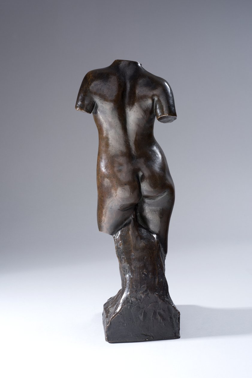 Torso tekijältä Francis Derwent Wood