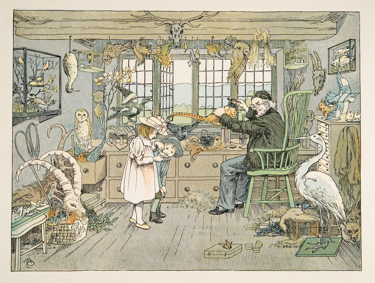 The Bird Stuffer, kirjasta Four and Twenty Toilers, pub. 1900 (värilitra) tekijältä Francis Donkin Bedford