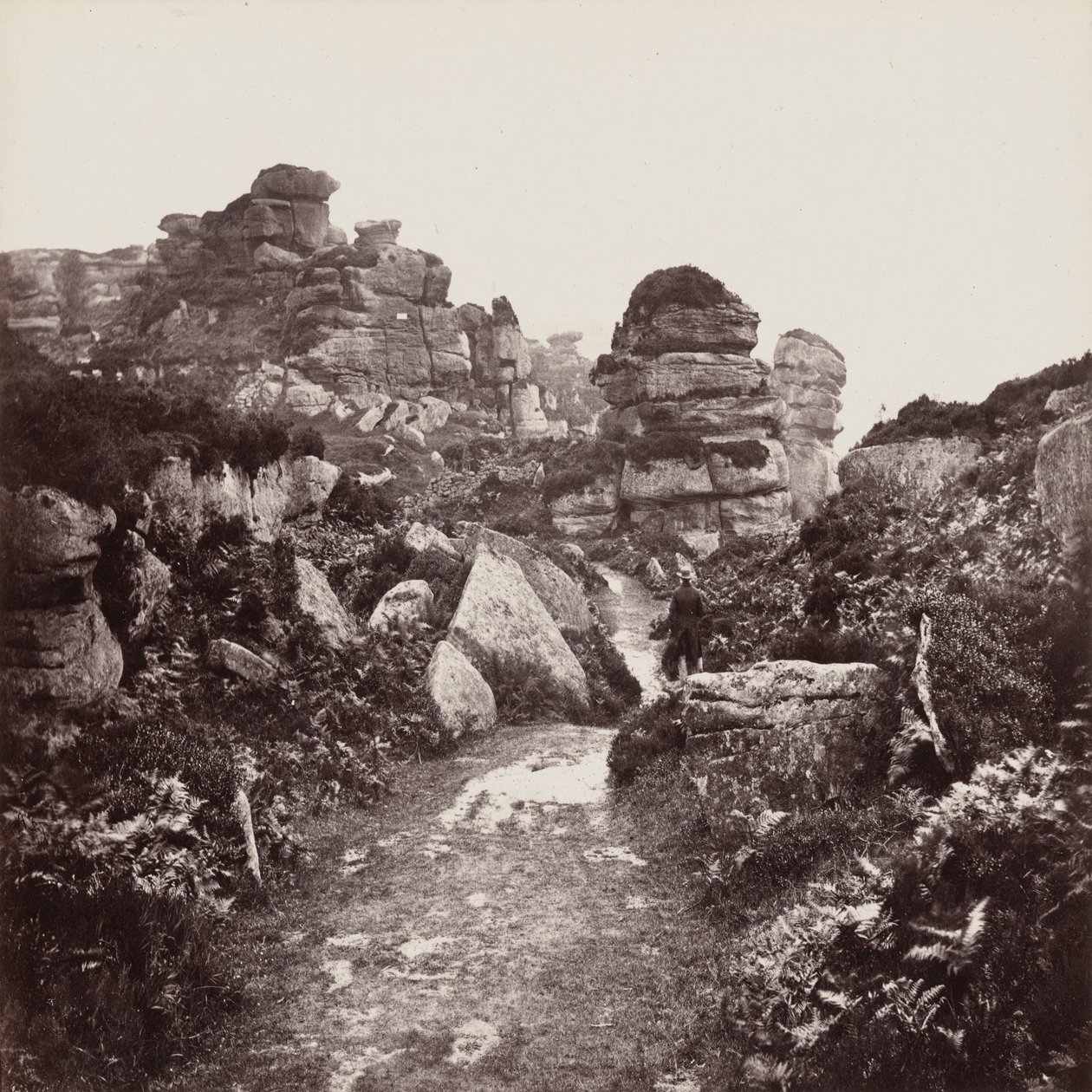 Brimham Rocks, Yorkshire tekijältä Francis Frith