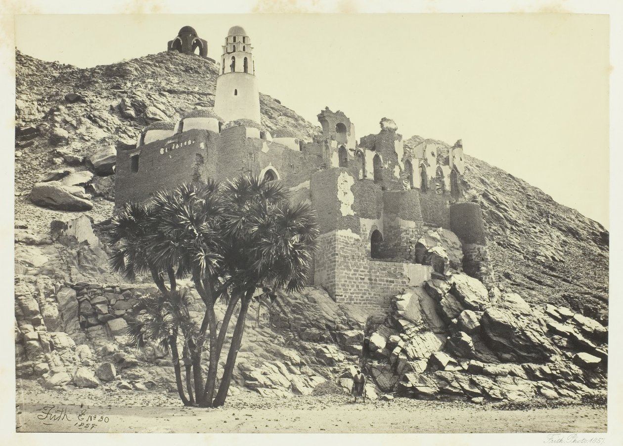 Doum Palm ja rauniomoskeija, Philæ, 1857. tekijältä Francis Frith