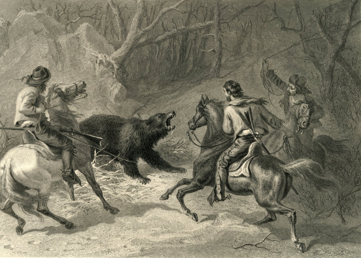 Native Californians Lassoing a Bear, 1874. tekijältä Francis Holl