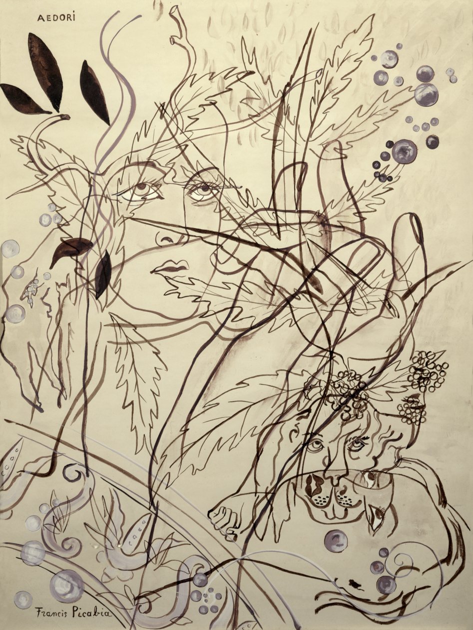 Aedori tekijältä Francis Picabia