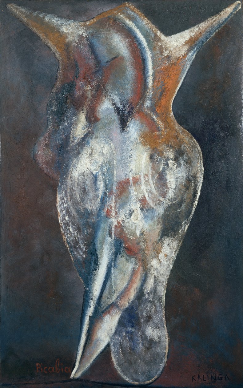 Kalinga tekijältä Francis Picabia