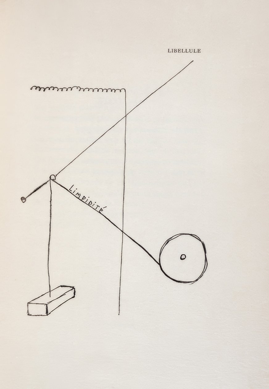Sudenkorento tekijältä Francis Picabia