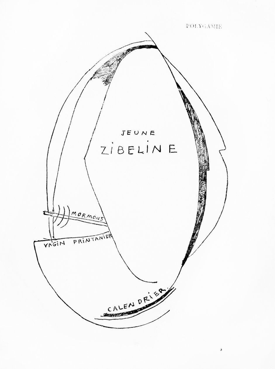 Poemes et Dessins de la Fille nee sans Mere, nro 15, julkaisija Imprimeries Reunies, Lausanne. tekijältä Francis Picabia