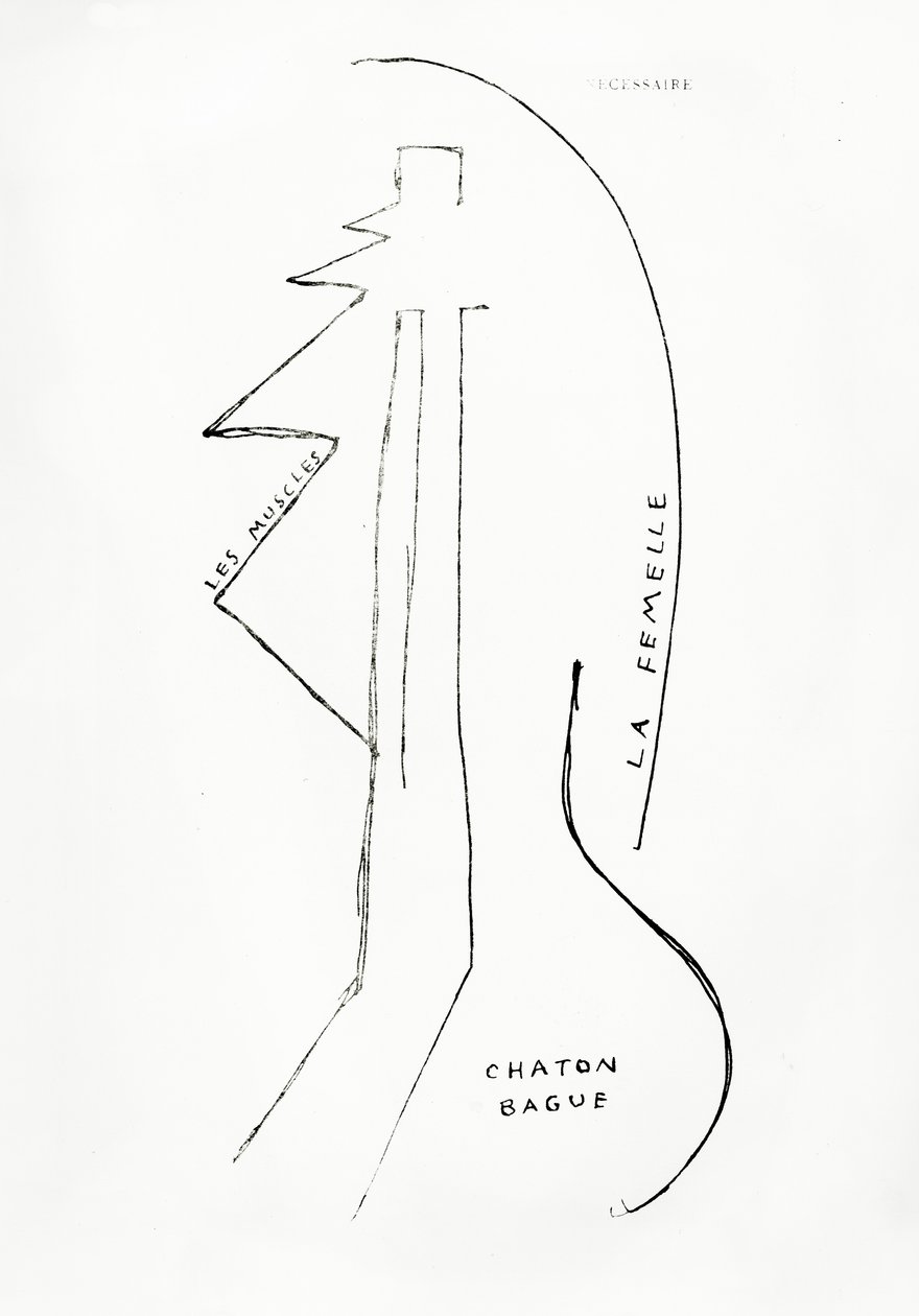 Poemes et Dessins de la Fille nee sans Mere, nro 23, julkaisija Imprimeries Reunies, Lausanne. tekijältä Francis Picabia