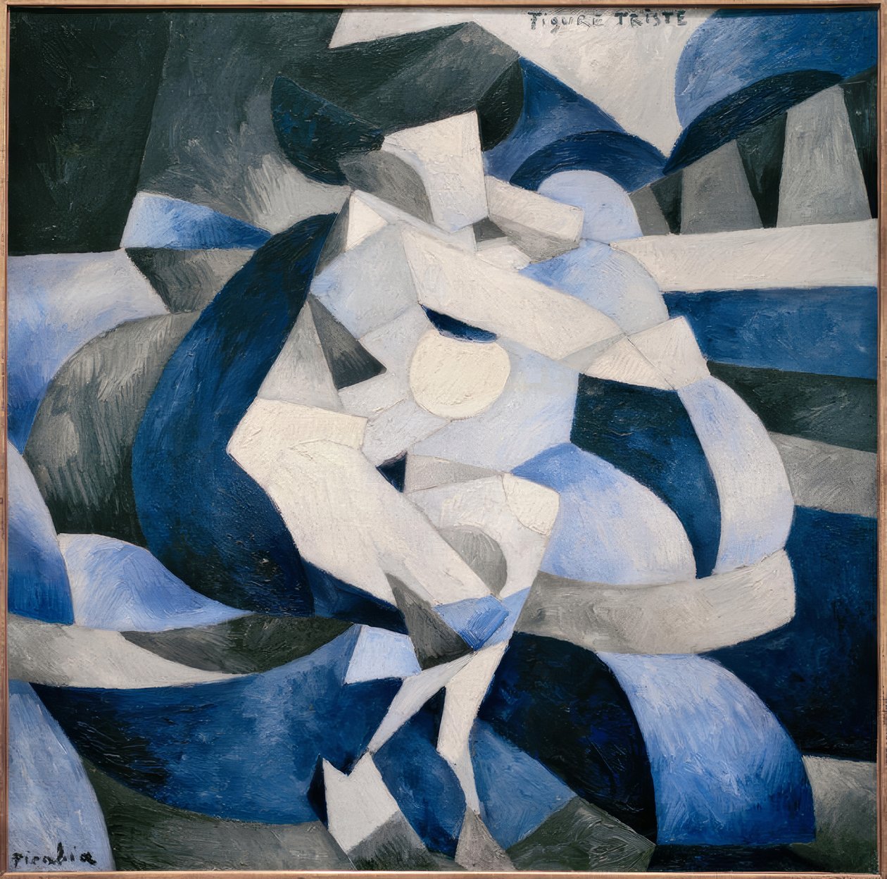 Surullinen luku tekijältä Francis Picabia