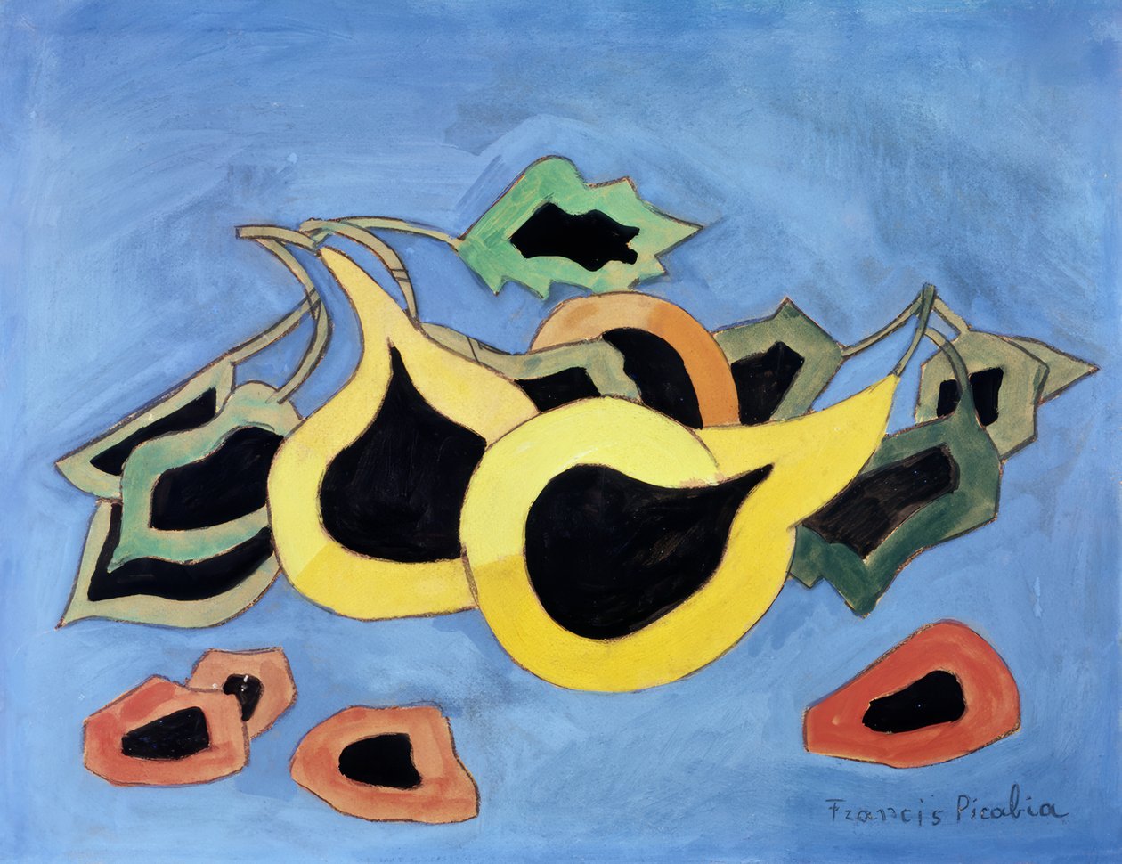 Asetelma tekijältä Francis Picabia
