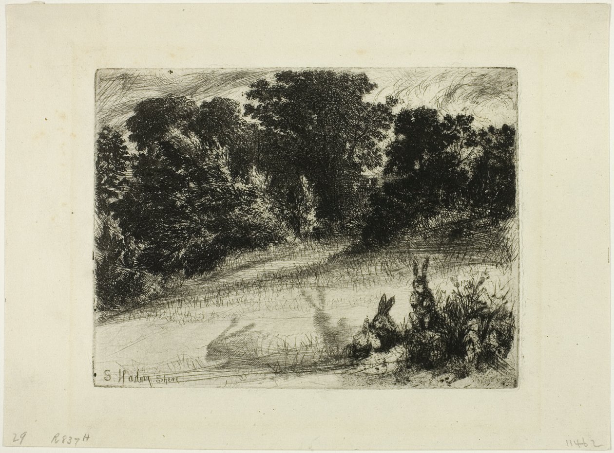 Kampapohja tekijältä Francis Seymour Haden