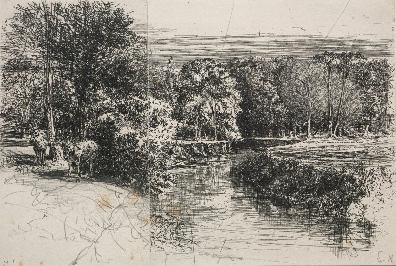 Dundrum-joki ja kaksi aasia tekijältä Francis Seymour Haden