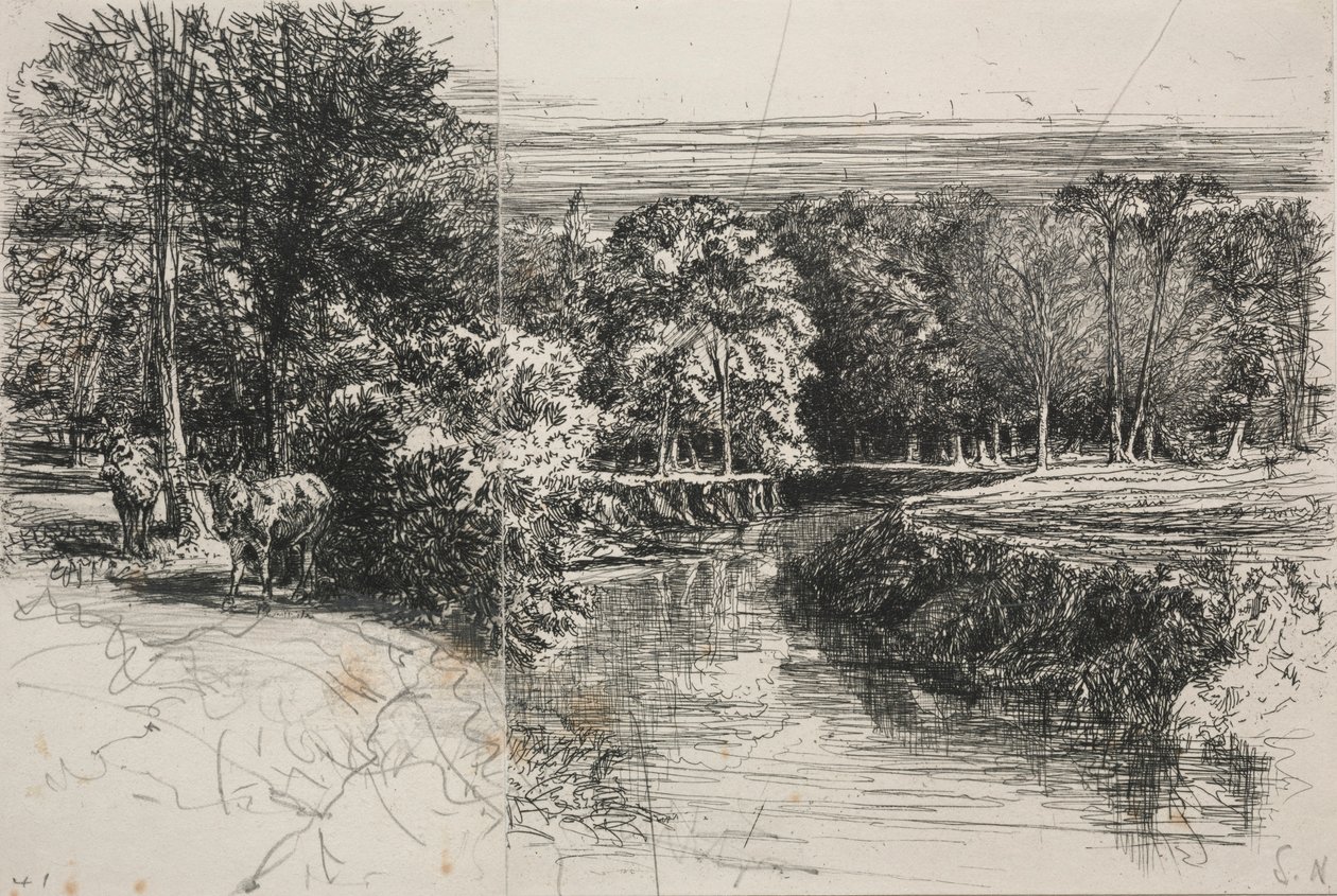 Dundrum River and the Two Ass, 1863. tekijältä Francis Seymour Haden