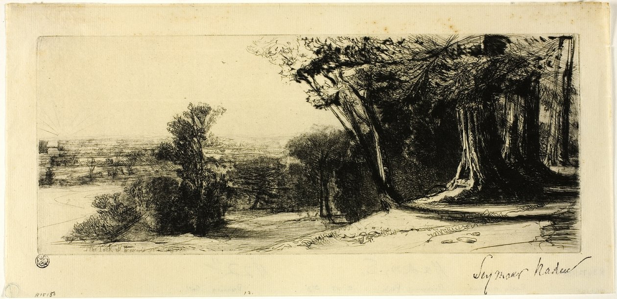 Early Morning, Richmond Park tekijältä Francis Seymour Haden