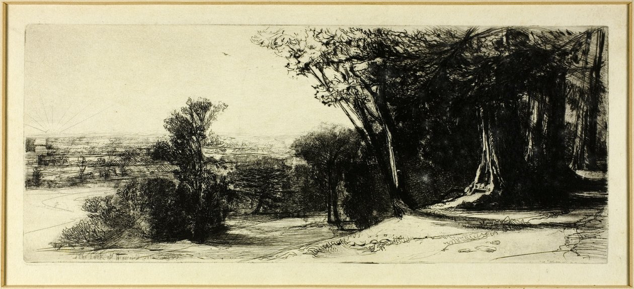 Early Morning, Richmond Park tekijältä Francis Seymour Haden
