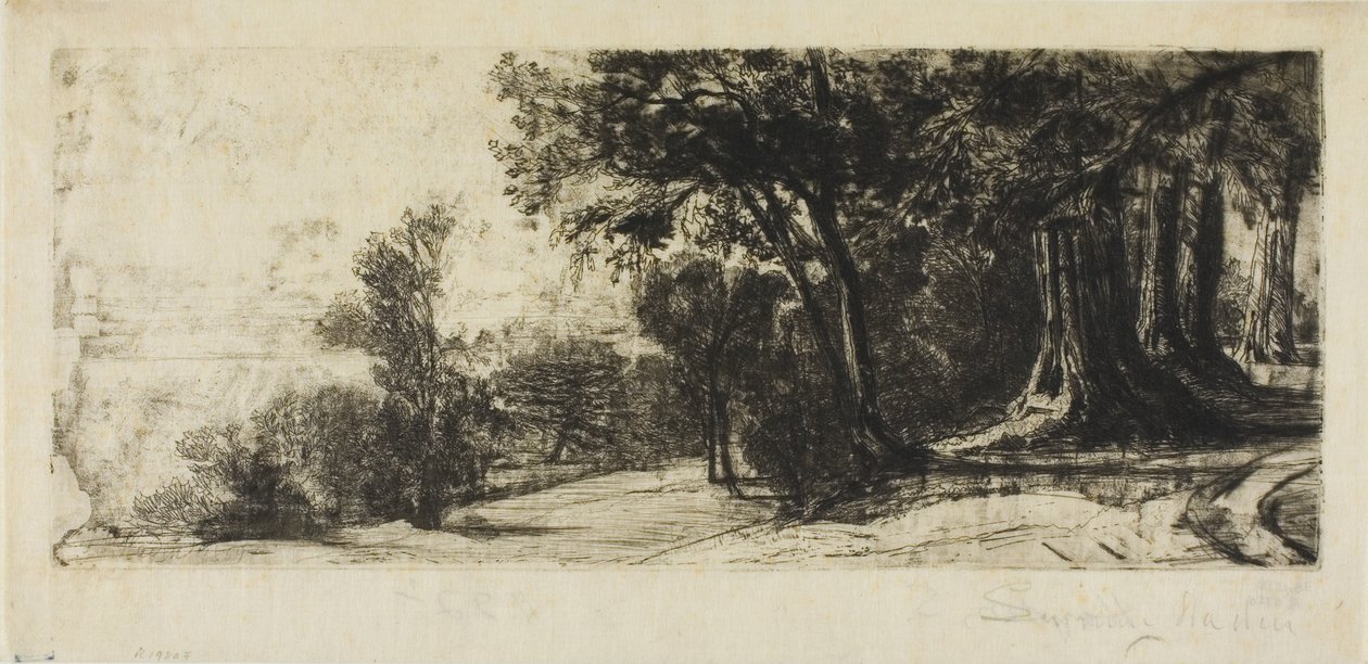 Early Morning, Richmond Park tekijältä Francis Seymour Haden