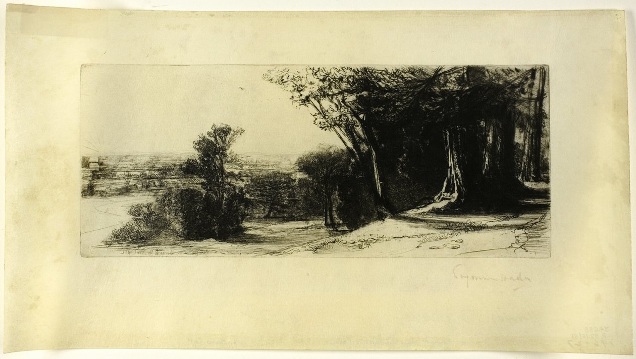 Early Morning, Richmond Park tekijältä Francis Seymour Haden