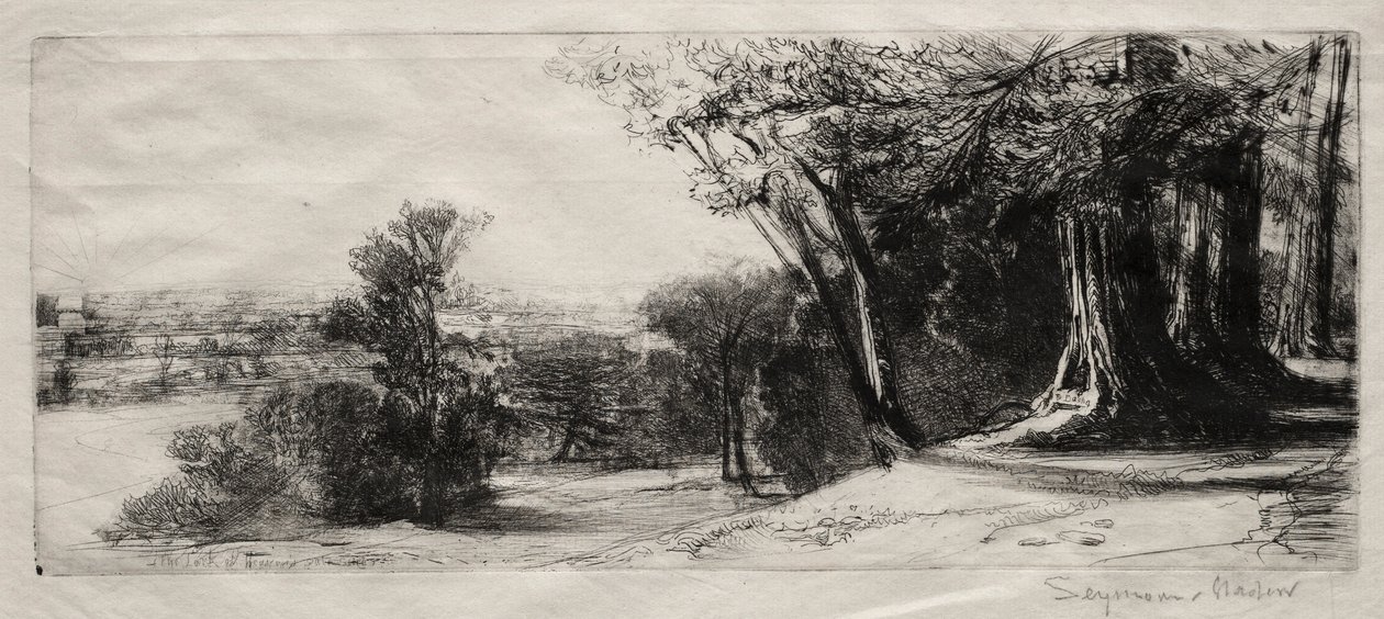 Early Morning, Richmond Park. tekijältä Francis Seymour Haden