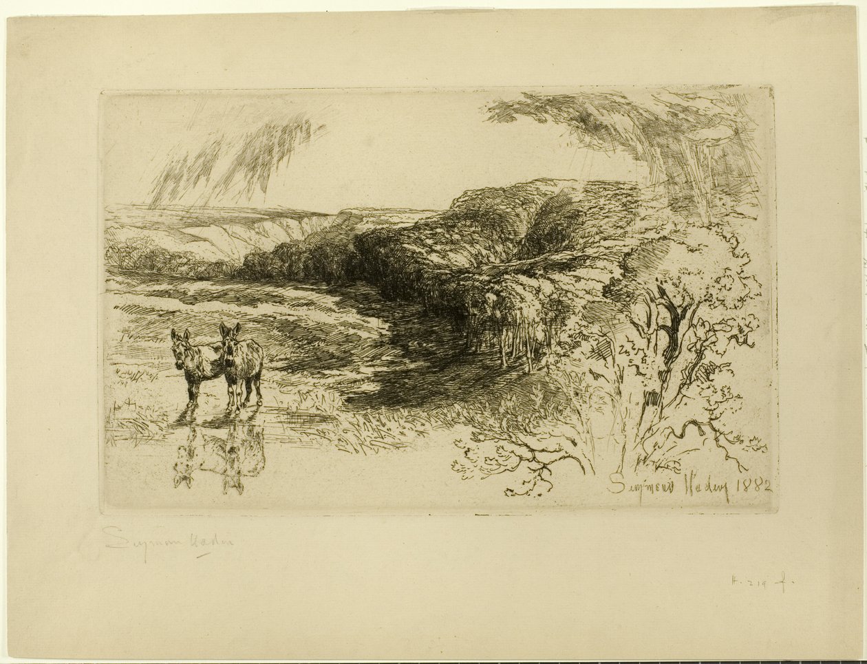 Encombe Woods, nro II tekijältä Francis Seymour Haden