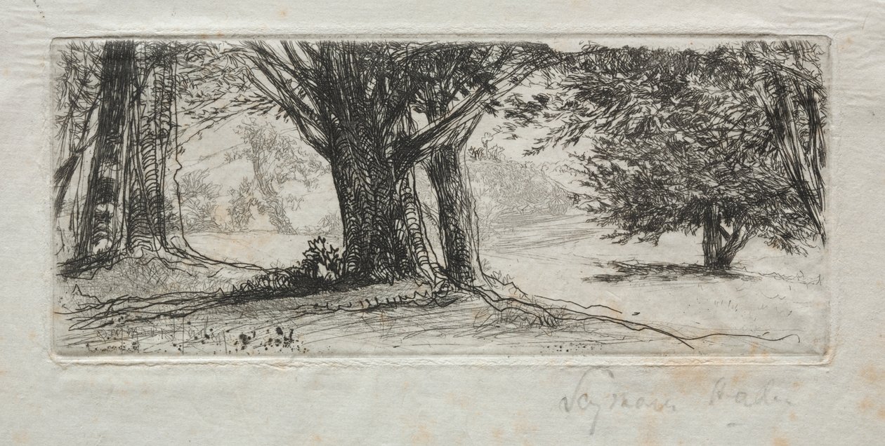 Holly Field tekijältä Francis Seymour Haden