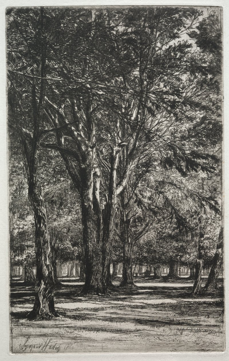Kensington Gardens (The Large Plate) tekijältä Francis Seymour Haden