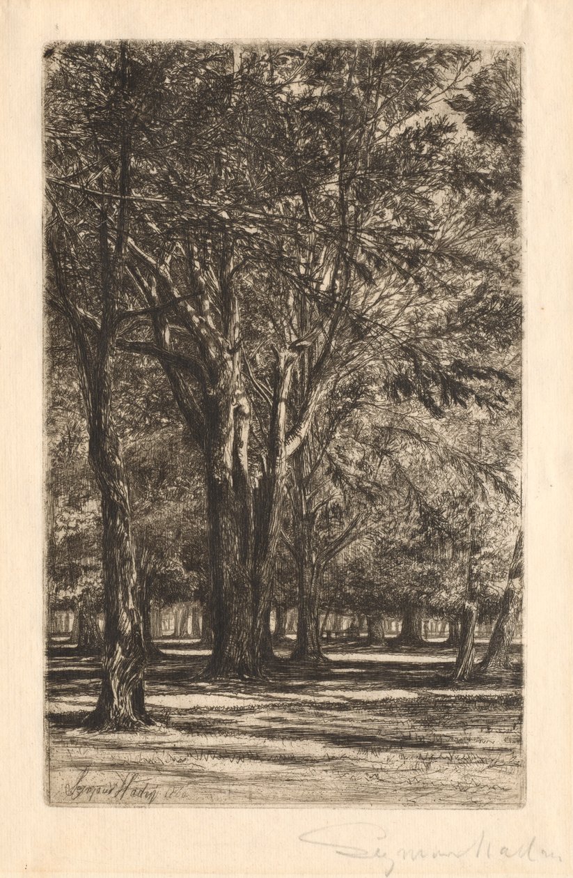 Kensington Gardens, nro 2 (iso lautanen) tekijältä Francis Seymour Haden