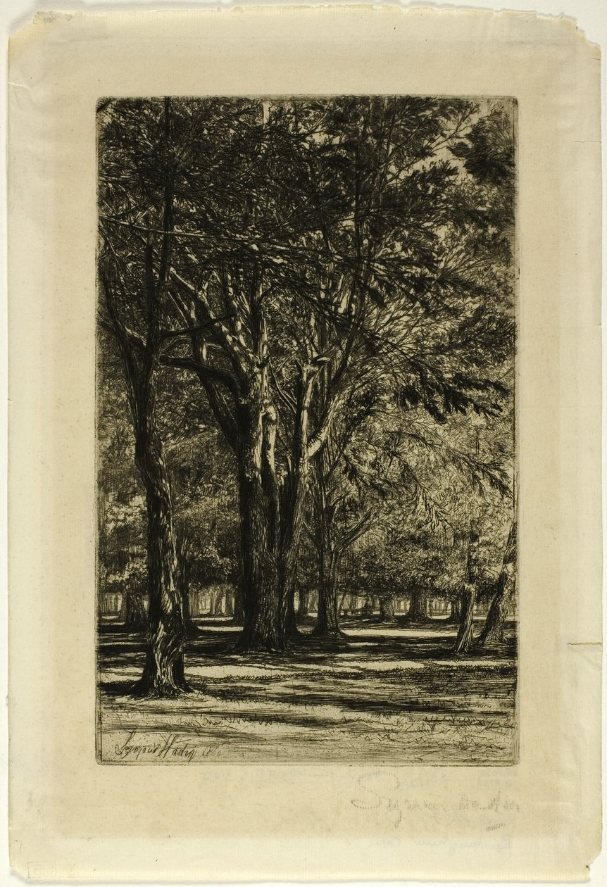 Kensington Gardens, nro II (iso levy) tekijältä Francis Seymour Haden