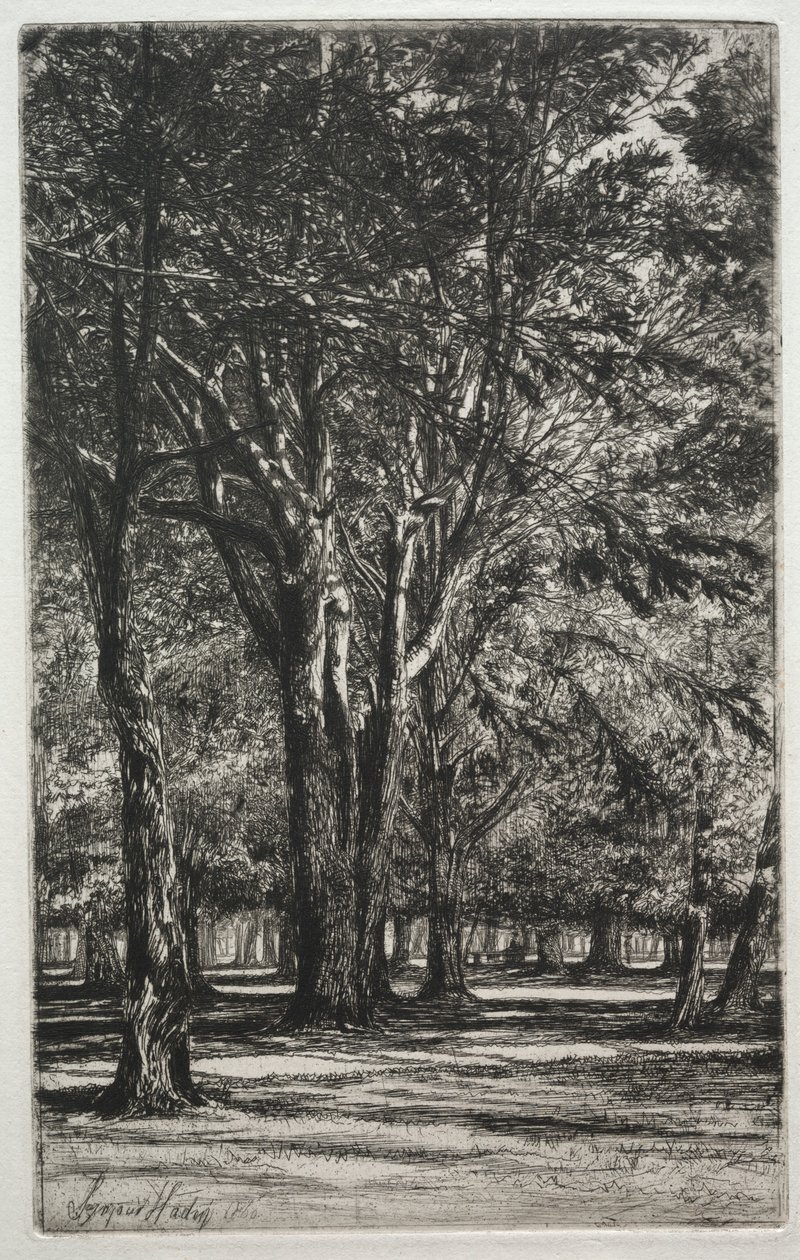 Kensington Gardens The Large Plate, 1860. tekijältä Francis Seymour Haden