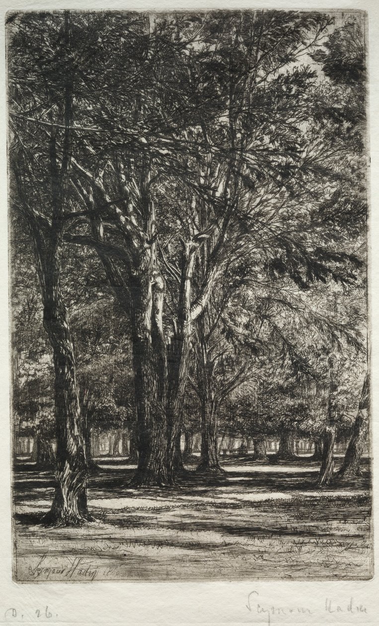 Kensington Gardens The Larger Plate, 1860. tekijältä Francis Seymour Haden