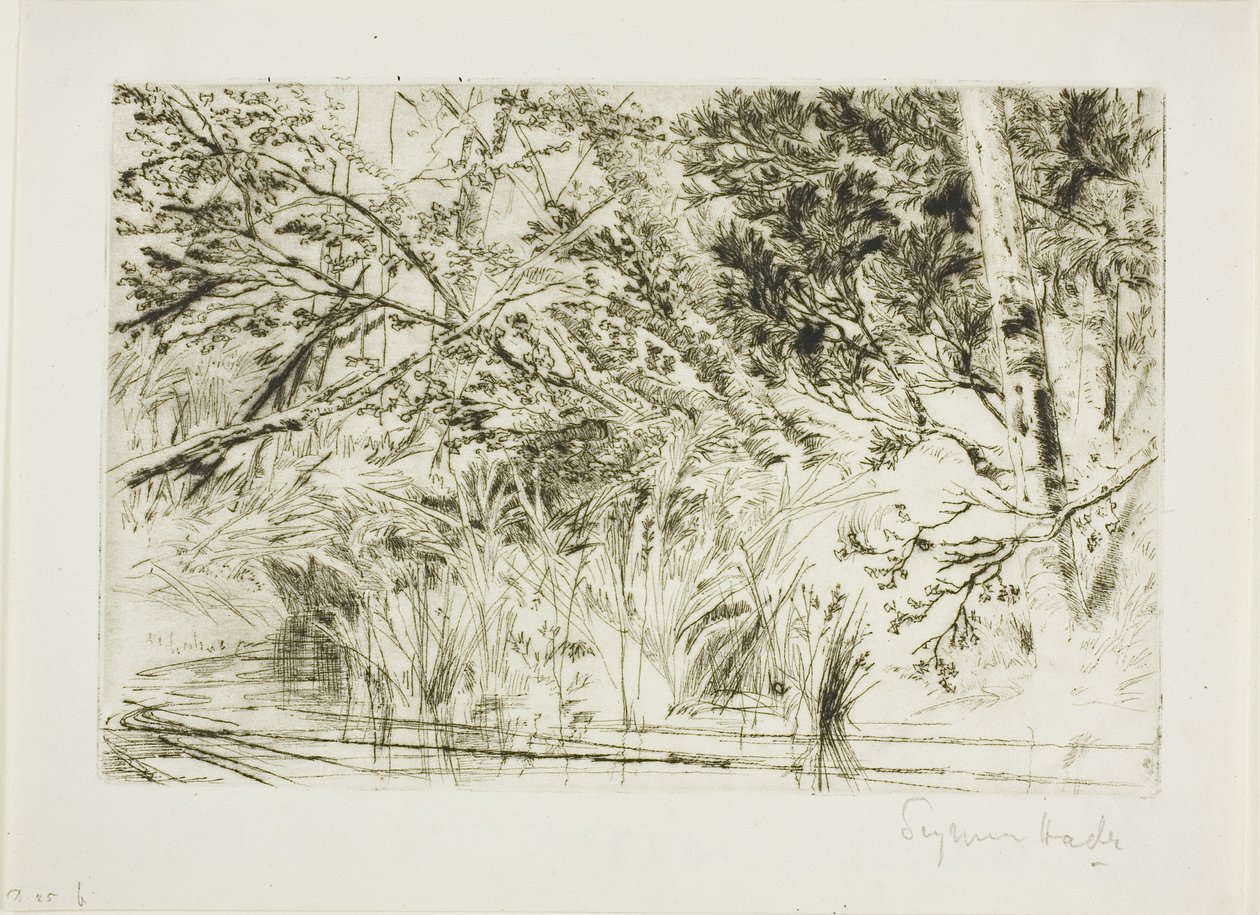 Puron suu, nro II tekijältä Francis Seymour Haden