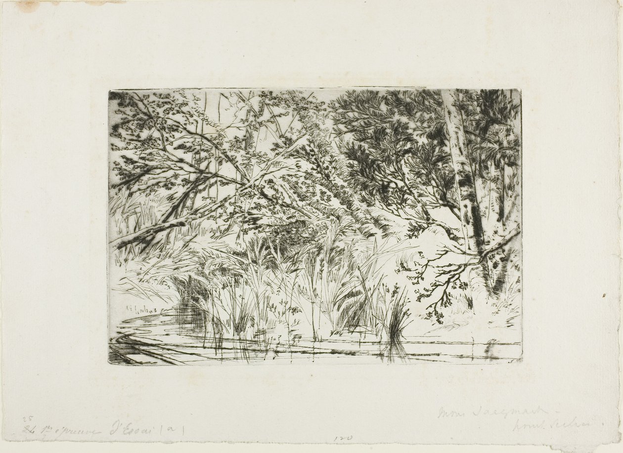 Puron suu, nro II tekijältä Francis Seymour Haden