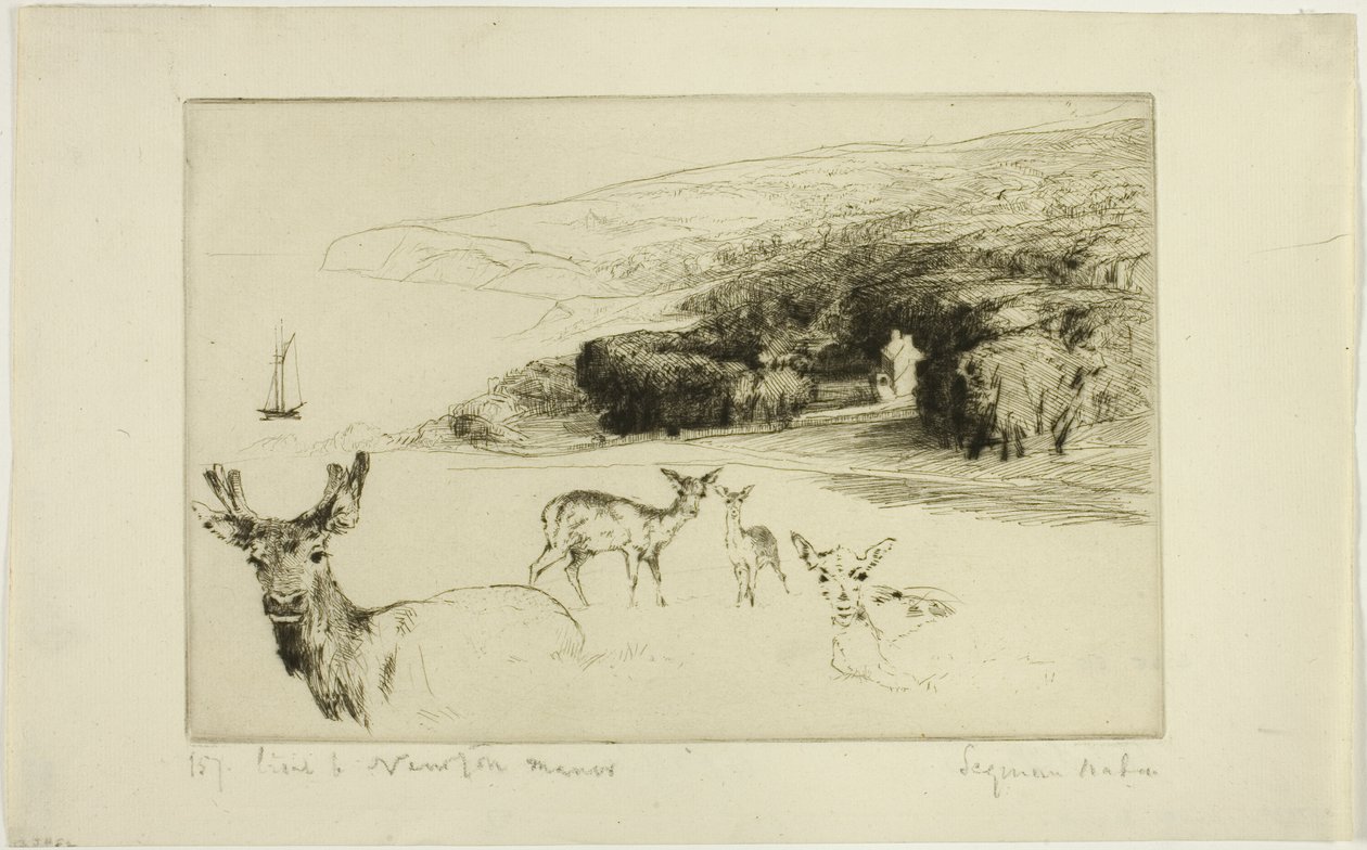 Newtonin kartano tekijältä Francis Seymour Haden