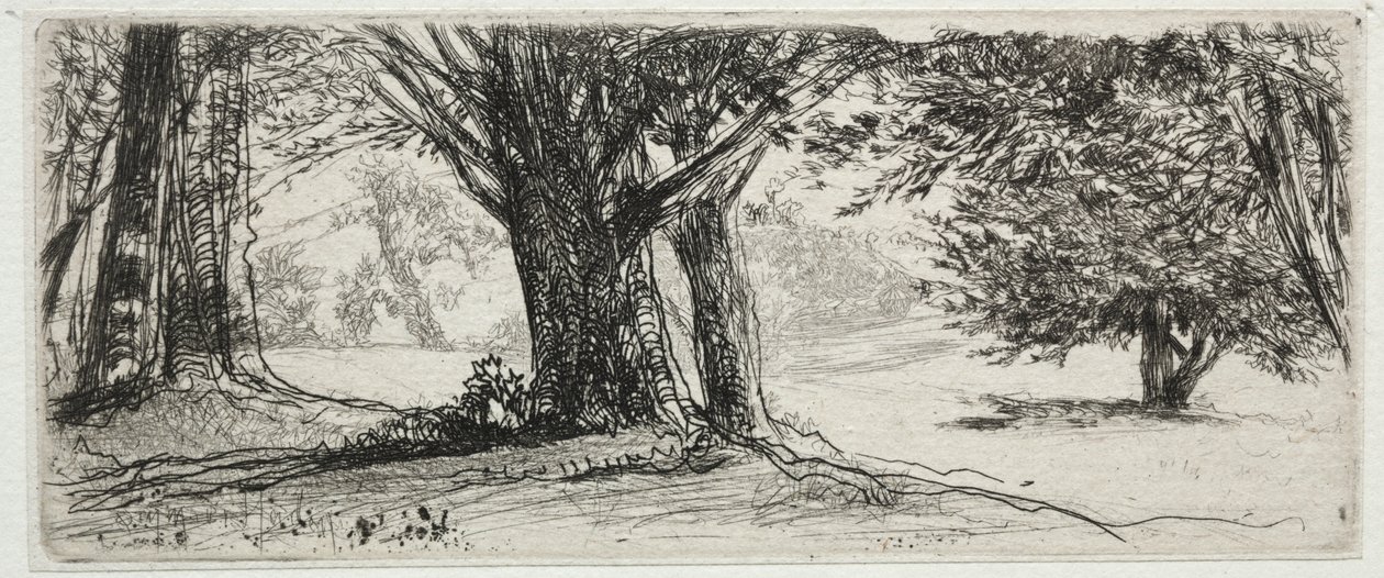 Holly Field tekijältä Francis Seymour Haden