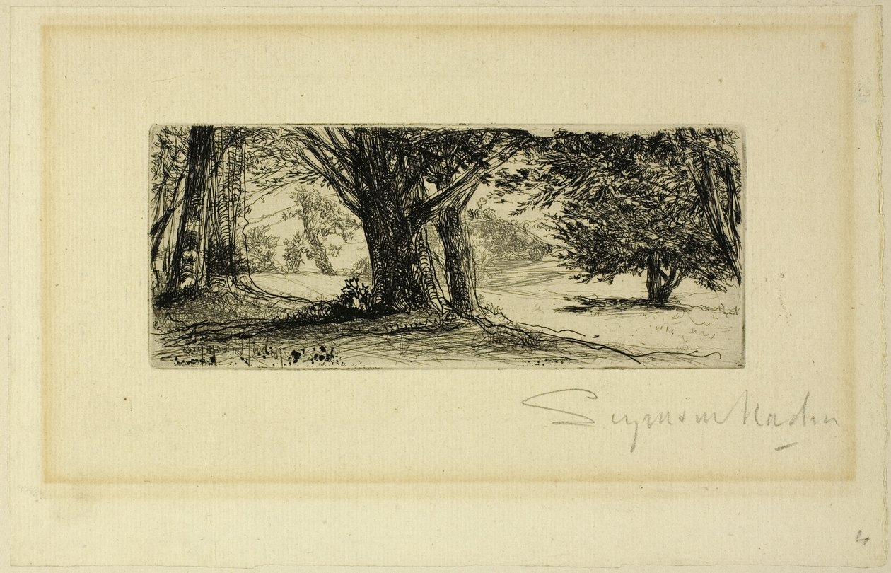 Holly Fields tekijältä Francis Seymour Haden